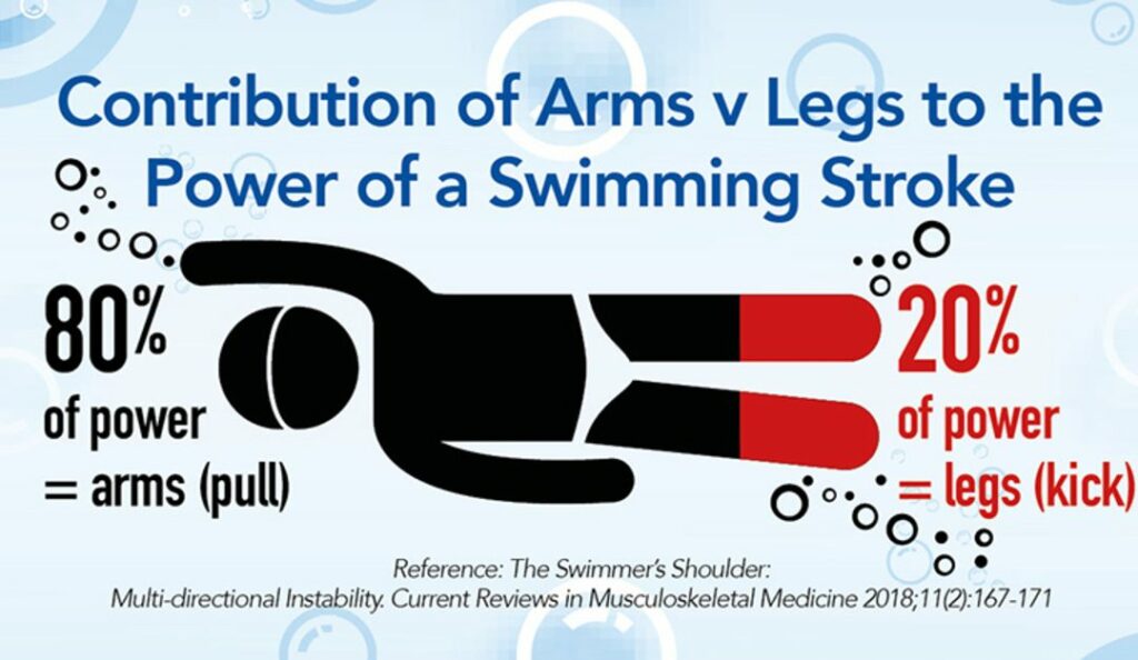 Contribution of arms vs legs in swimming 1080x627 1